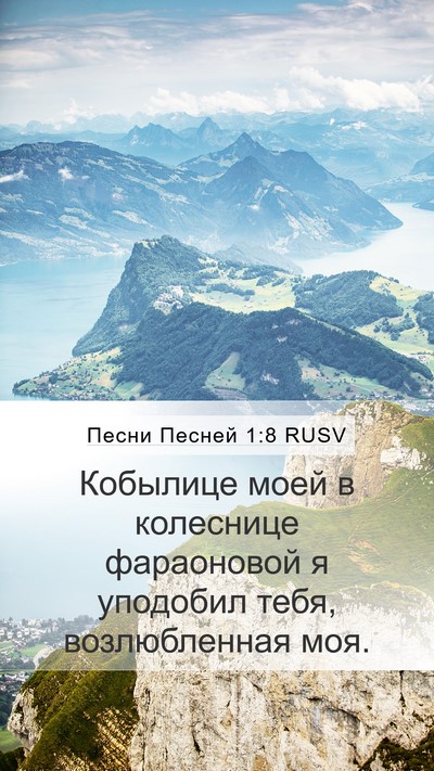 Песни Песней 1:8 RUSV Bible Verse Image