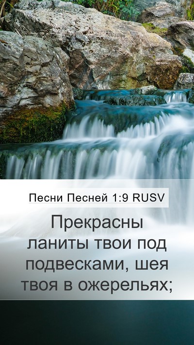 Песни Песней 1:9 RUSV Bible Verse Image