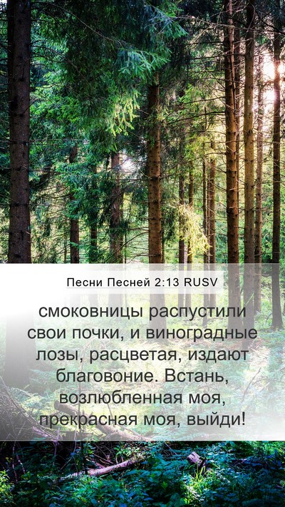 Песни Песней 2:13 RUSV Bible Verse Image