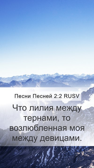 Песни Песней 2:2 RUSV Bible Verse Image