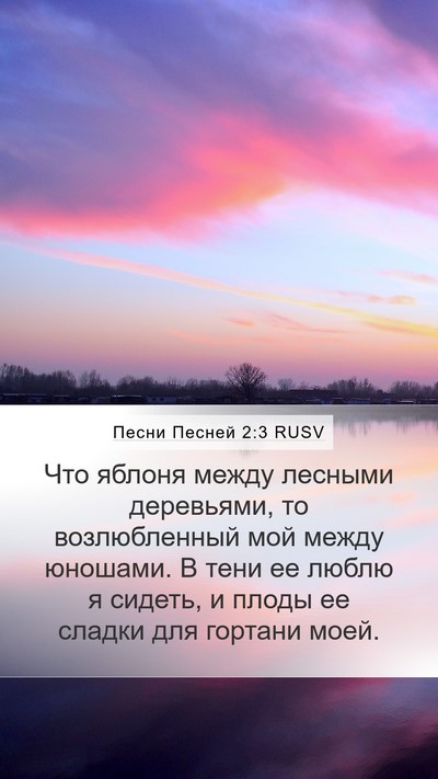 Песни Песней 2:3 RUSV Bible Verse Image