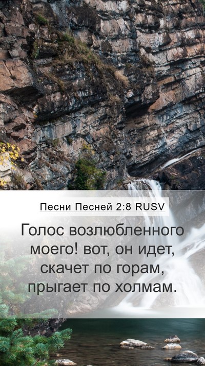 Песни Песней 2:8 RUSV Bible Verse Image