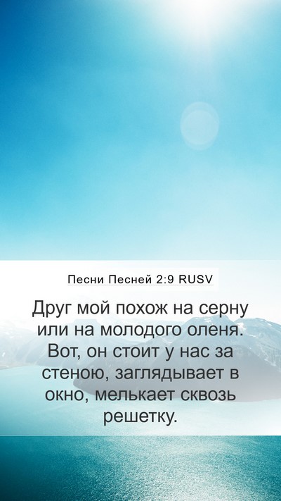 Песни Песней 2:9 RUSV Bible Verse Image
