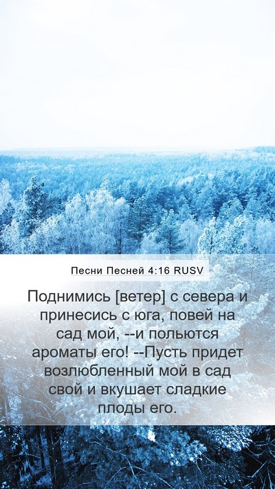 Песни Песней 4:16 RUSV Mobile Phone Wallpaper - Поднимись [ветер] с севера - Mobile Bible Verse Wallpaper