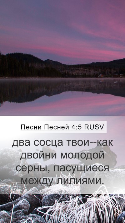 Песни Песней 4:5 RUSV Bible Verse Image
