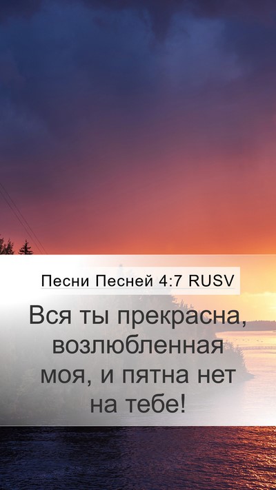 Песни Песней 4:7 RUSV Bible Verse Image