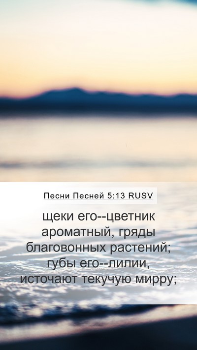 Песни Песней 5:13 RUSV Bible Verse Image