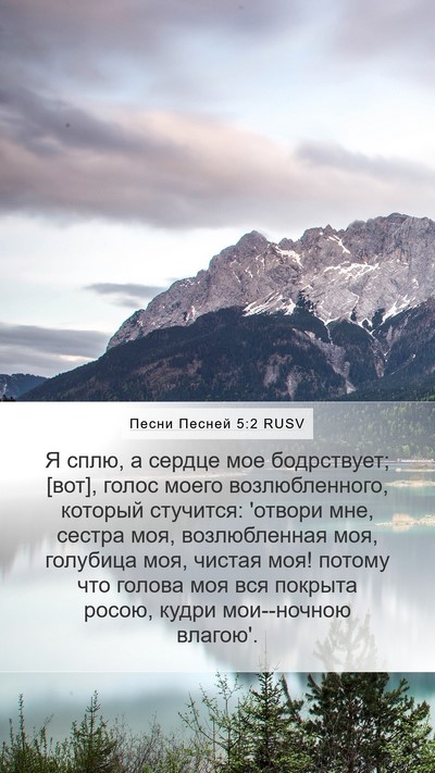 Песни Песней 5:2 RUSV Bible Verse Image