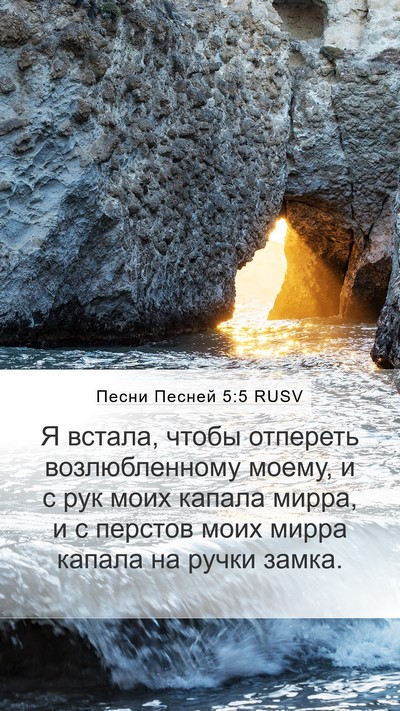 Песни Песней 5:5 RUSV Bible Verse Image