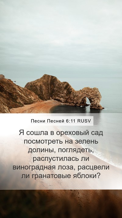 Песни Песней 6:11 RUSV Bible Verse Image