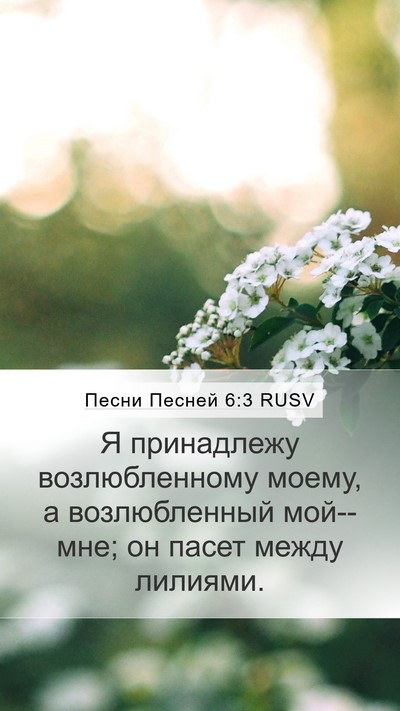 Песни Песней 6:3 RUSV Bible Verse Image