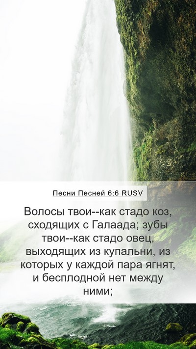 Песни Песней 6:6 RUSV Bible Verse Image