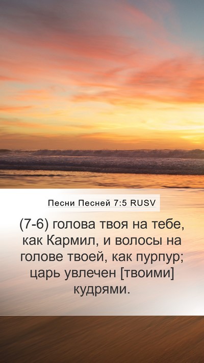 Песни Песней 7:5 RUSV Bible Verse Image