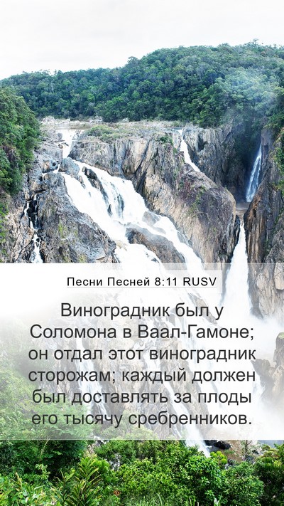 Песни Песней 8:11 RUSV Bible Verse Image