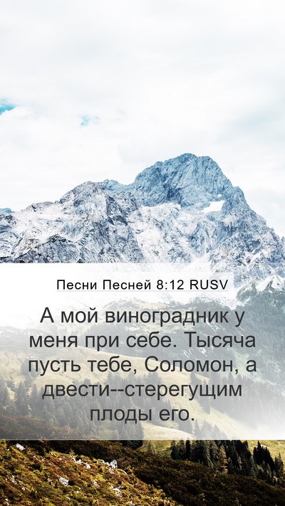 Песни Песней 8:12 RUSV Mobile Phone Wallpaper - А мой виноградник у меня - Mobile Bible Verse Wallpaper