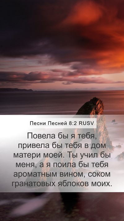 Песни Песней 8:2 RUSV Bible Verse Image