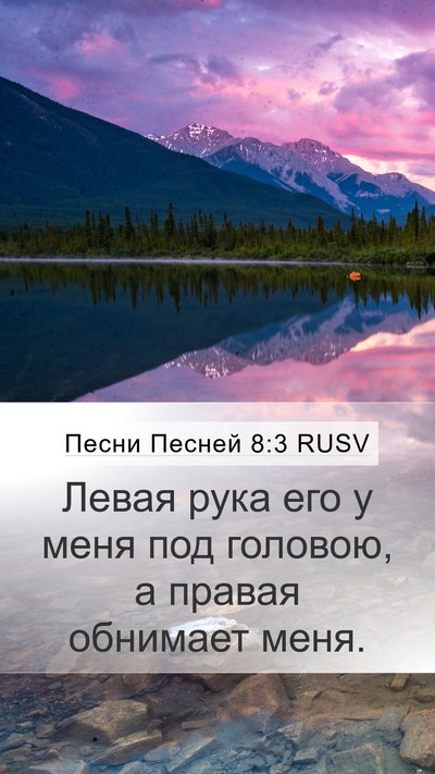 Песни Песней 8:3 RUSV Bible Verse Image