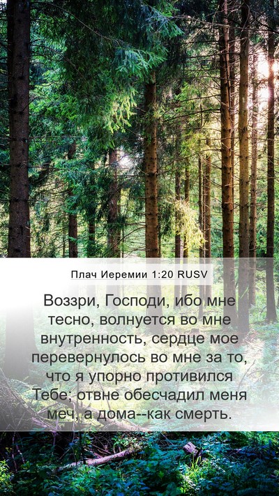 Плач Иеремии 1:20 RUSV Bible Verse Image