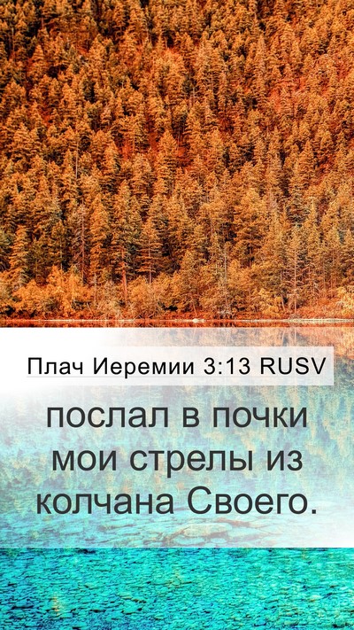 Плач Иеремии 3:13 RUSV Bible Verse Image