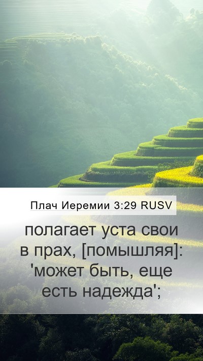 Плач Иеремии 3:29 RUSV Bible Verse Image
