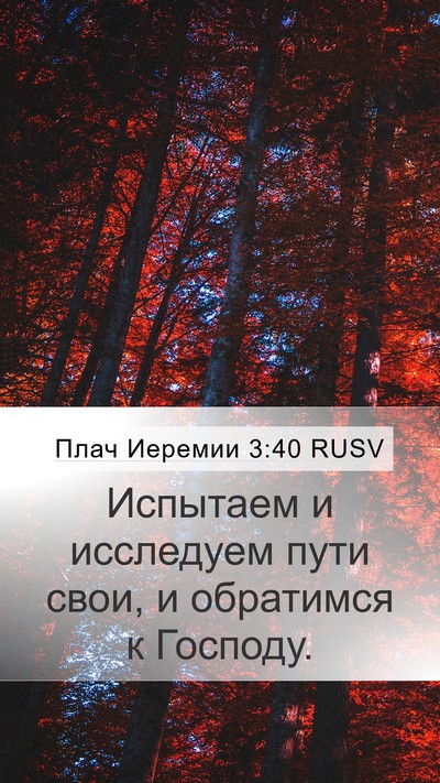 Плач Иеремии 3:40 RUSV Bible Verse Image