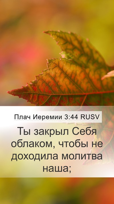 Плач Иеремии 3:44 RUSV Bible Verse Image