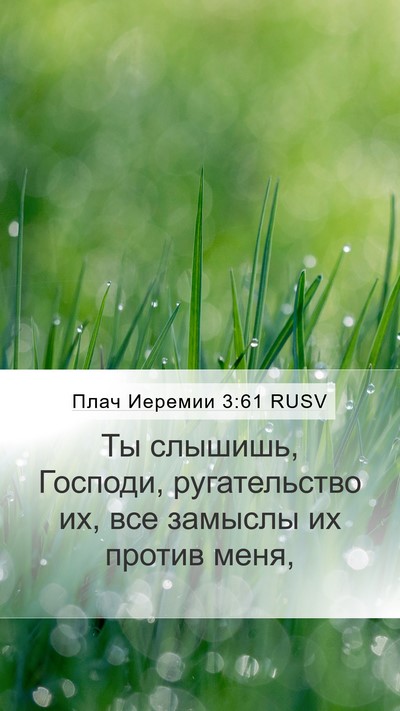 Плач Иеремии 3:61 RUSV Bible Verse Image