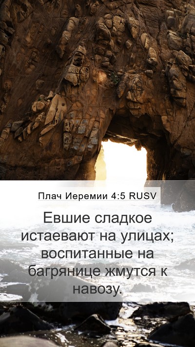 Плач Иеремии 4:5 RUSV Bible Verse Image