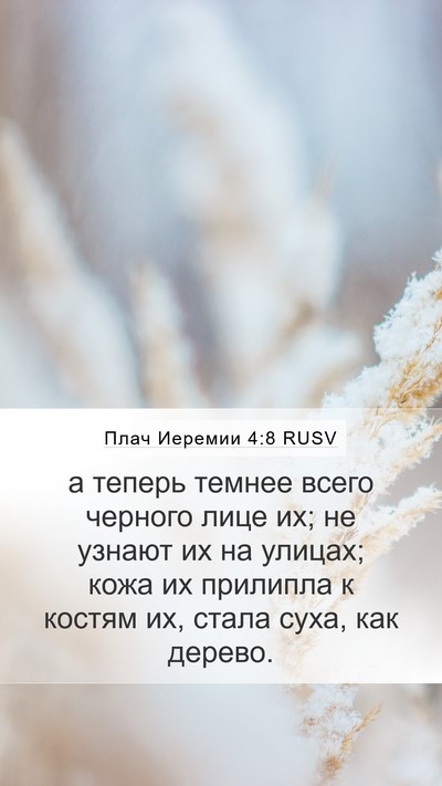 Плач Иеремии 4:8 RUSV Bible Verse Image