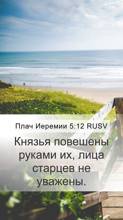 Плач Иеремии 5:12 RUSV Bible Verse Image