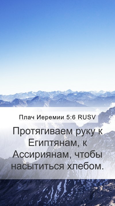 Плач Иеремии 5:6 RUSV Bible Verse Image
