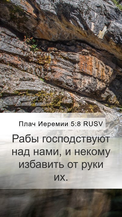 Плач Иеремии 5:8 RUSV Bible Verse Image