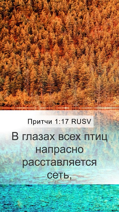 Притчи 1:17 RUSV Bible Verse Image