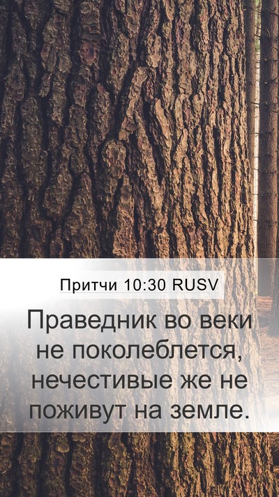 Притчи 10:30 RUSV Bible Verse Image