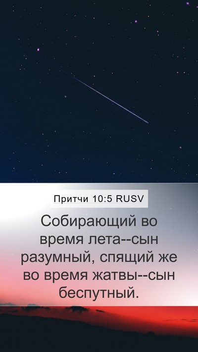 Притчи 10:5 RUSV Bible Verse Image