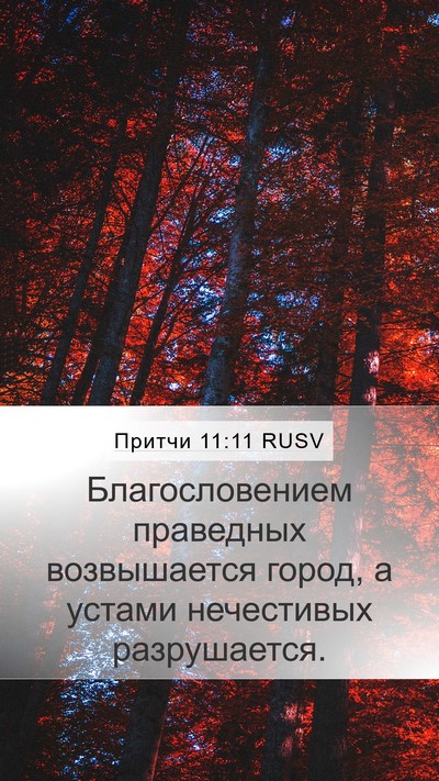 Притчи 11:11 RUSV Mobile Phone Wallpaper - Благословением праведных - Mobile Bible Verse Wallpaper