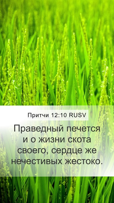 Притчи 12:10 RUSV Bible Verse Image