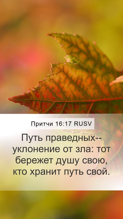 Притчи 16:17 RUSV Bible Verse Image