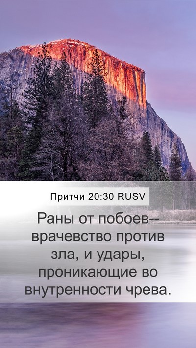Притчи 20:30 RUSV Bible Verse Image