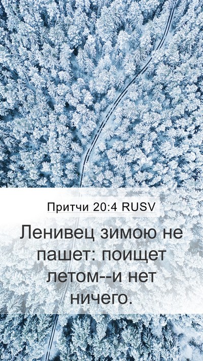 Притчи 20:4 RUSV Bible Verse Image