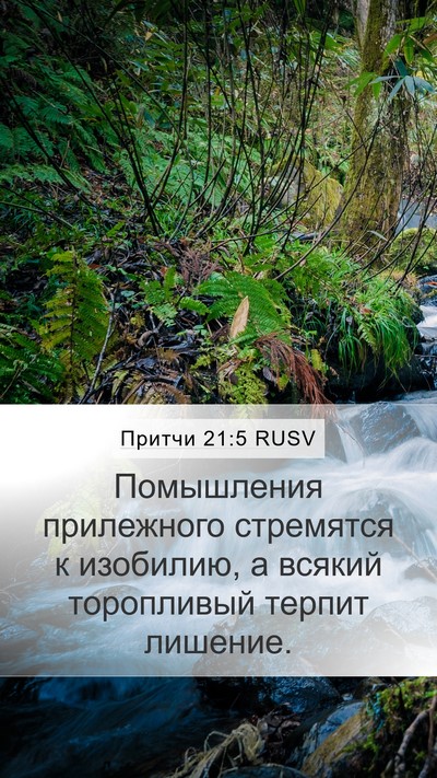 Притчи 21:5 RUSV Bible Verse Image
