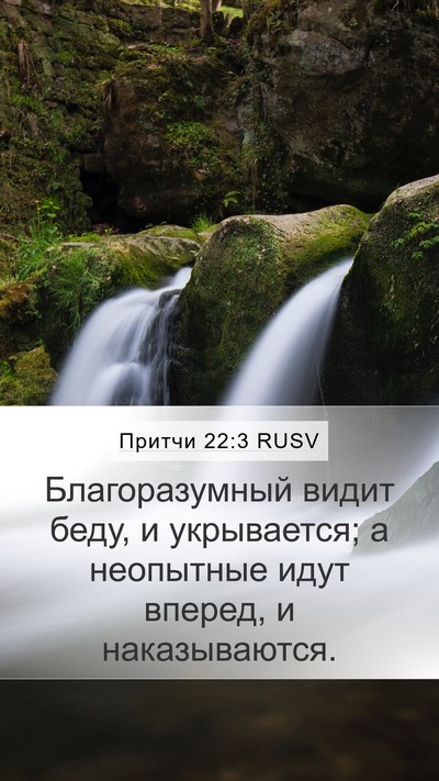 Притчи 22:3 RUSV Bible Verse Image