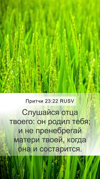 Притчи 23:22 RUSV Bible Verse Image