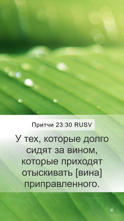 Притчи 23:30 RUSV Bible Verse Image
