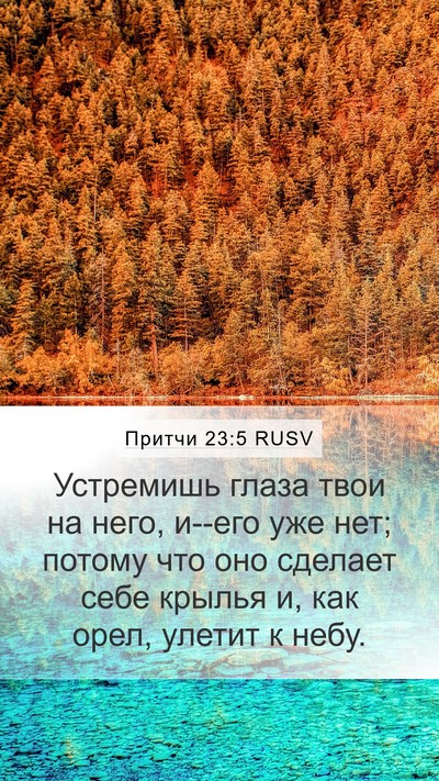 Притчи 23:5 RUSV Bible Verse Image