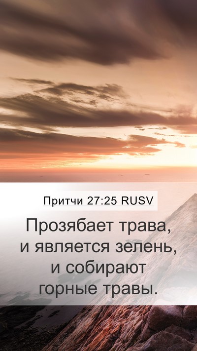 Притчи 27:25 RUSV Mobile Phone Wallpaper - Прозябает трава, и - Mobile Bible Verse Wallpaper