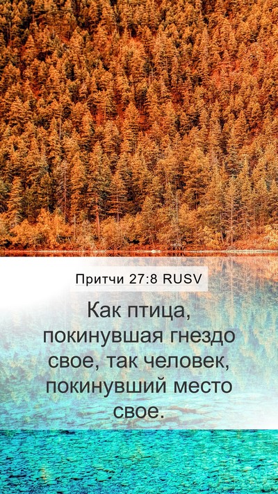 Притчи 27:8 RUSV Bible Verse Image