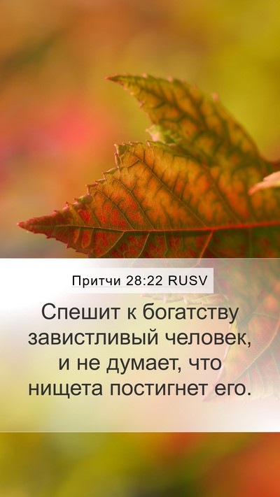 Притчи 28:22 RUSV Bible Verse Image