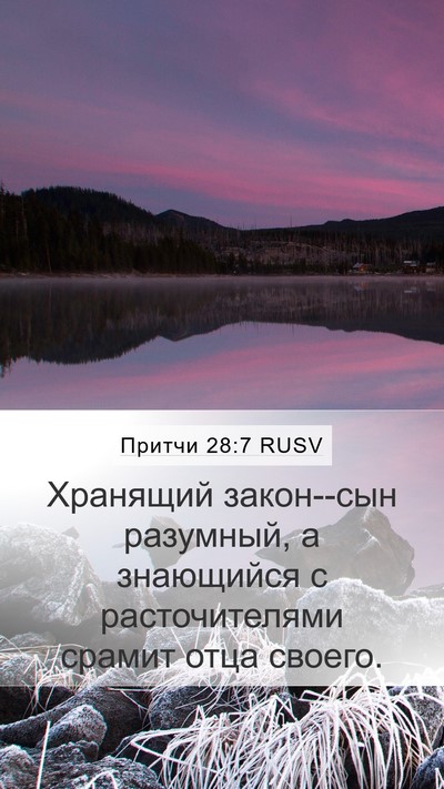 Притчи 28:7 RUSV Bible Verse Image