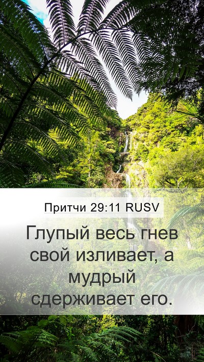Притчи 29:11 RUSV Bible Verse Image